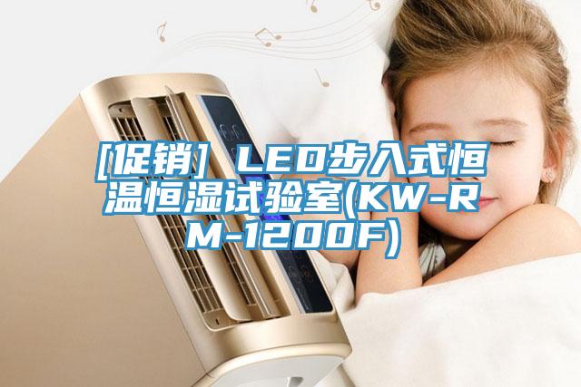 [促銷] LED步入式恒溫恒濕試驗室(KW-RM-1200F)
