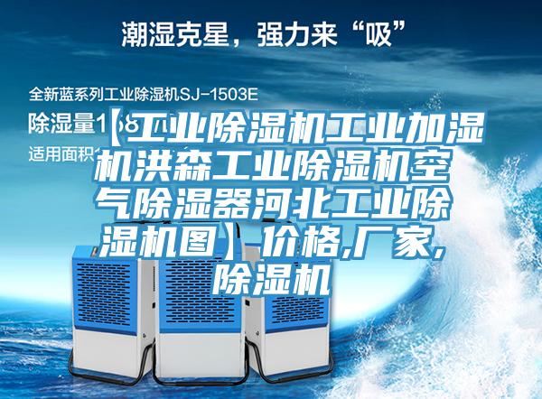 【工業(yè)除濕機(jī)工業(yè)加濕機(jī)洪森工業(yè)除濕機(jī)空氣除濕器河北工業(yè)除濕機(jī)圖】?jī)r(jià)格,廠家,除濕機(jī)