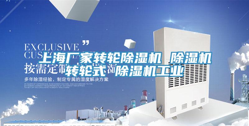 上海廠家轉輪除濕機 除濕機轉輪式 除濕機工業