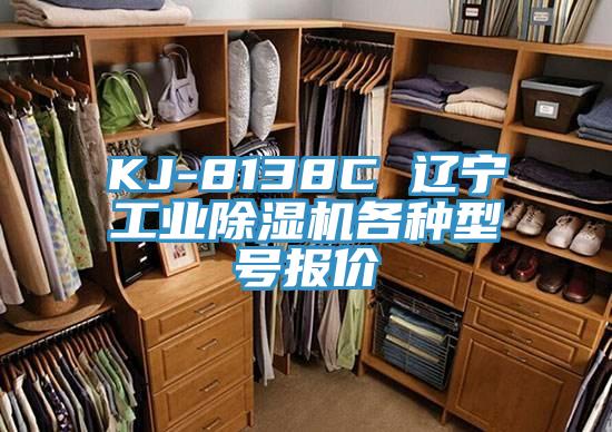 KJ-8138C 遼寧工業(yè)除濕機(jī)各種型號報價