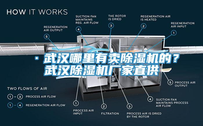 ·武漢哪里有賣除濕機的？武漢除濕機廠家直供