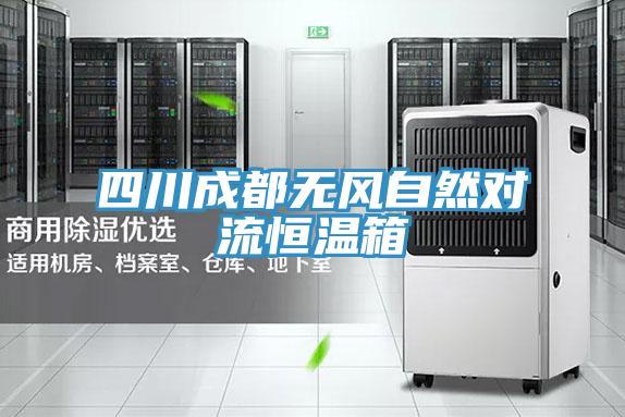 四川成都無風自然對流恒溫箱