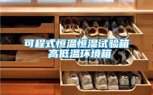 可程式恒溫恒濕試驗箱 高低溫環(huán)境箱