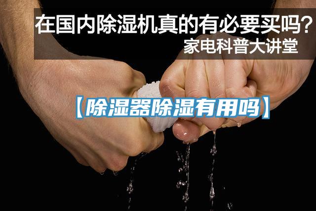 【除濕器除濕有用嗎】