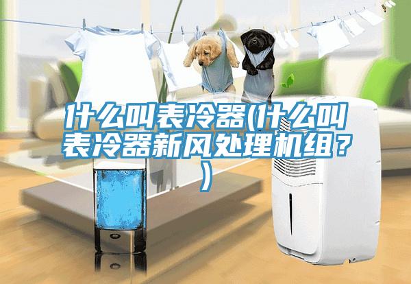 什么叫表冷器(什么叫表冷器新風處理機組？)