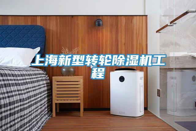 上海新型轉(zhuǎn)輪除濕機(jī)工程
