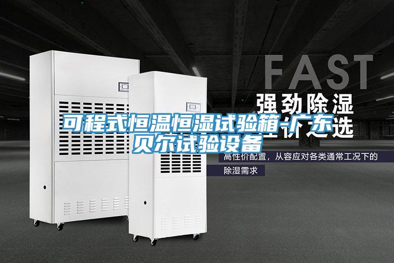 可程式恒溫恒濕試驗箱-廣東貝爾試驗設(shè)備
