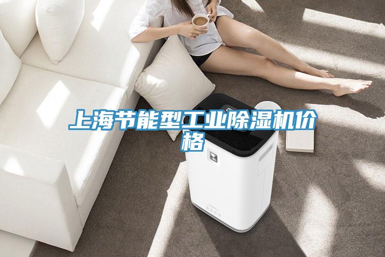 上海節(jié)能型工業(yè)除濕機(jī)價(jià)格