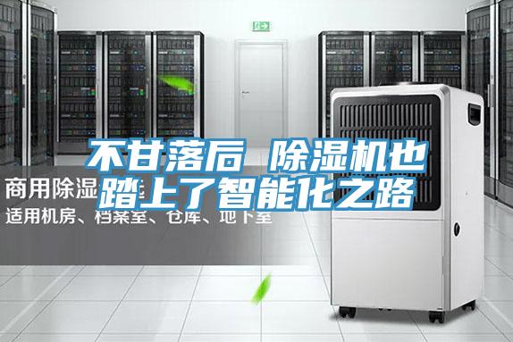 不甘落后 除濕機也踏上了智能化之路