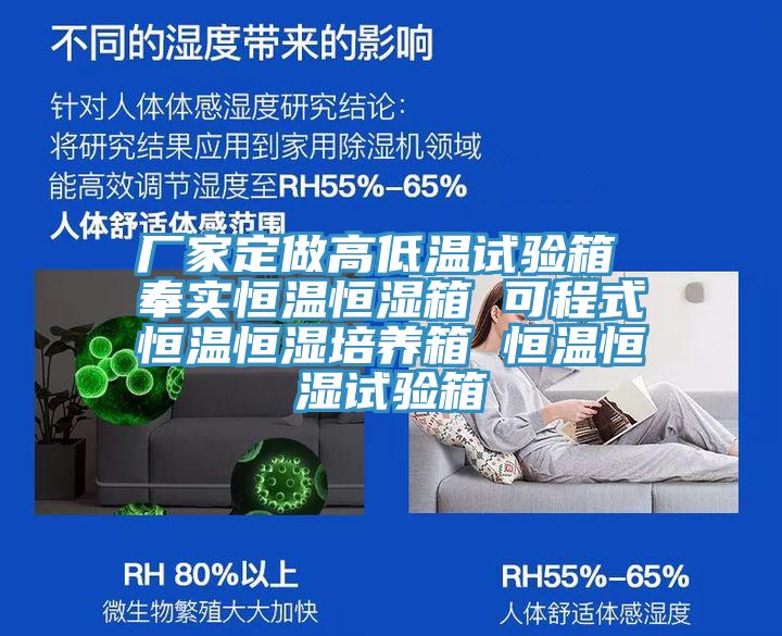 廠家定做高低溫試驗箱 奉實恒溫恒濕箱 可程式恒溫恒濕培養箱 恒溫恒濕試驗箱