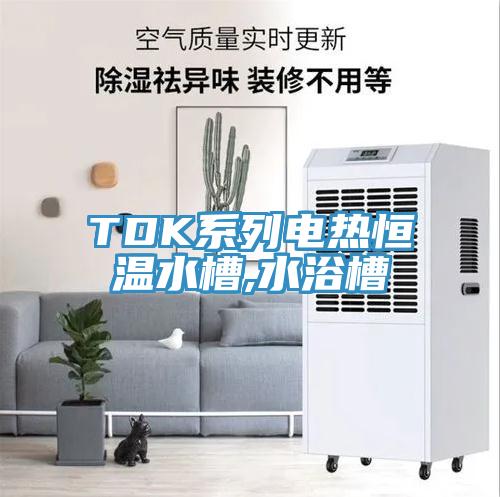 TDK系列電熱恒溫水槽,水浴槽