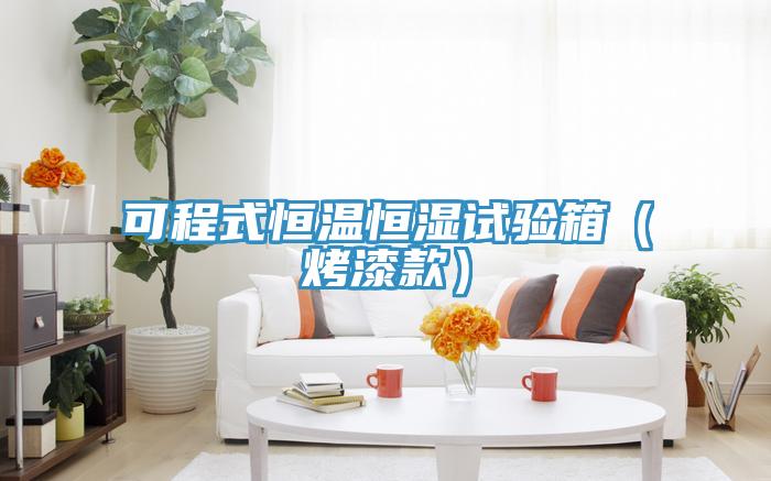 可程式恒溫恒濕試驗箱(烤漆款)