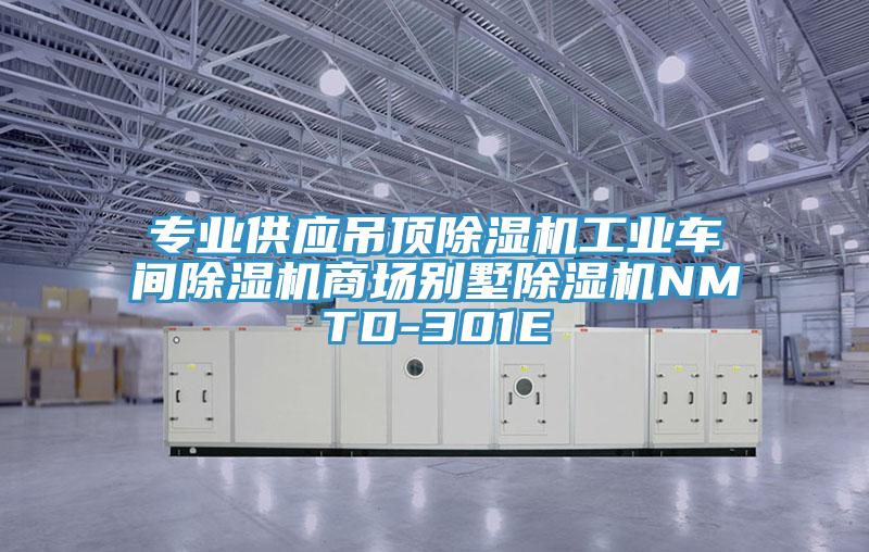 專業供應吊頂除濕機工業車間除濕機商場別墅除濕機NMTD-301E