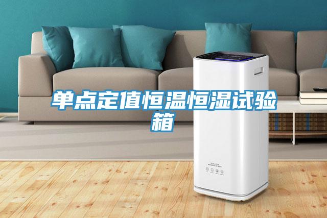 單點定值恒溫恒濕試驗箱