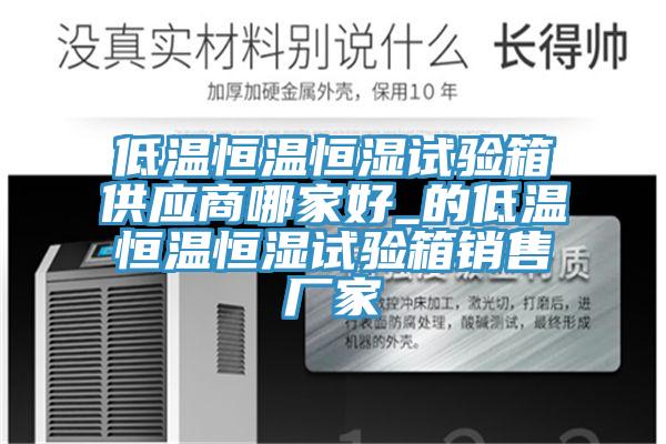 低溫恒溫恒濕試驗(yàn)箱供應(yīng)商哪家好_的低溫恒溫恒濕試驗(yàn)箱銷(xiāo)售廠家