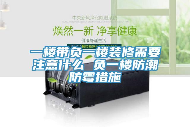 一樓帶負一樓裝修需要注意什么 負一樓防潮防霉措施