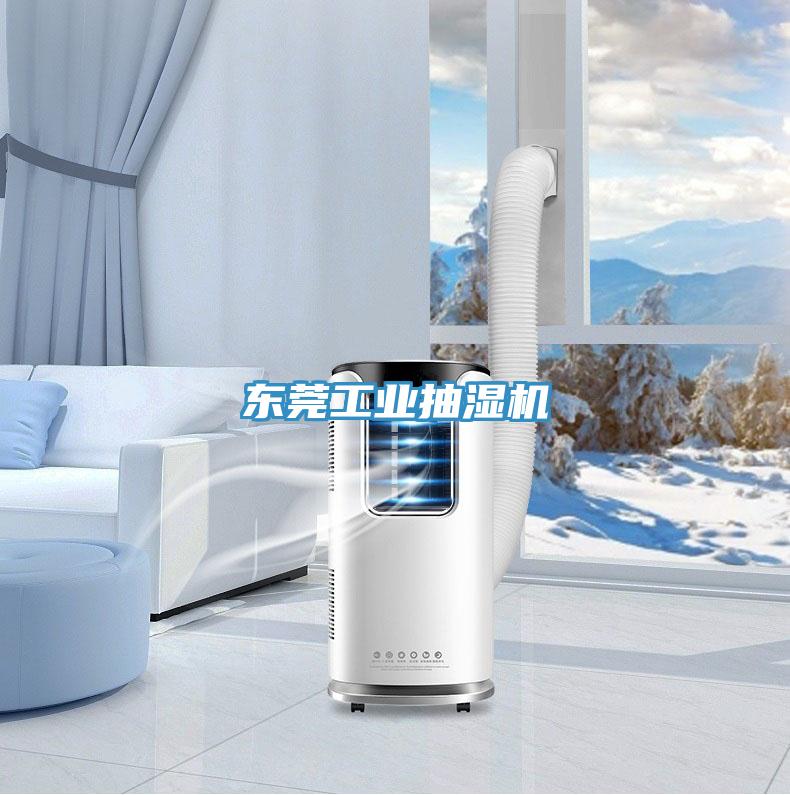 東莞工業(yè)抽濕機