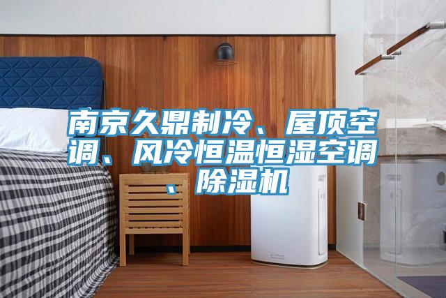 南京久鼎制冷、屋頂空調、風冷恒溫恒濕空調、除濕機