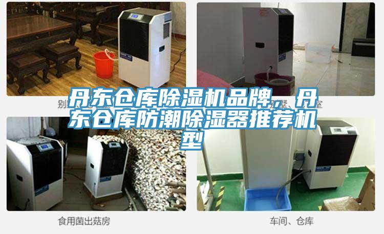 丹東倉庫除濕機品牌，丹東倉庫防潮除濕器推薦機型