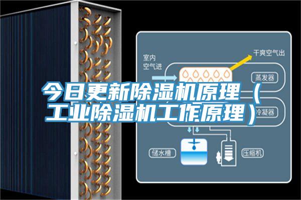 今日更新除濕機(jī)原理（工業(yè)除濕機(jī)工作原理）