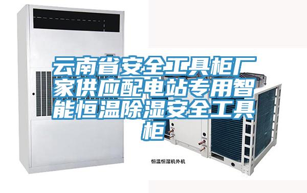 云南省安全工具柜廠家供應配電站專用智能恒溫除濕安全工具柜