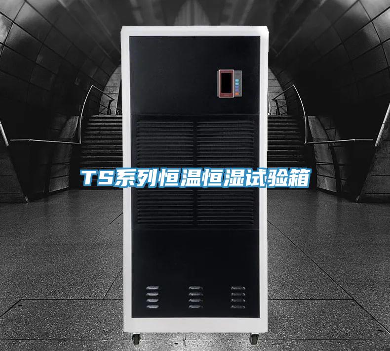TS系列恒溫恒濕試驗(yàn)箱