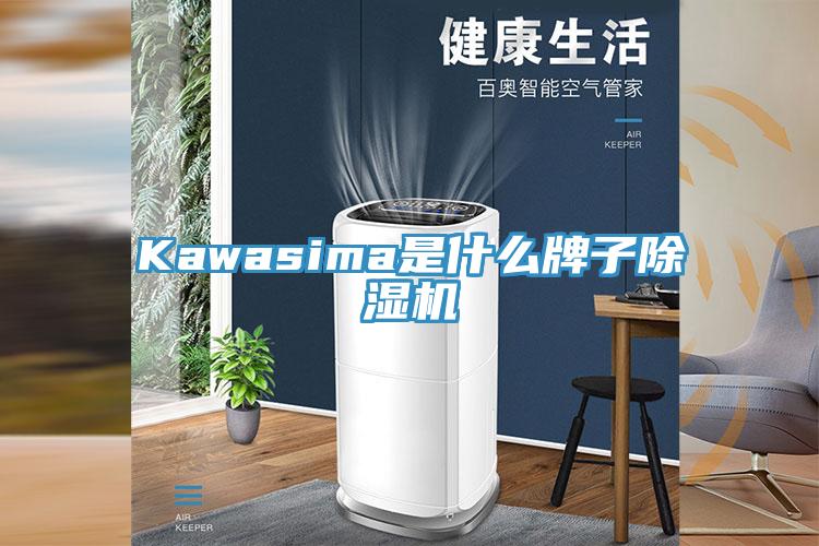 Kawasima是什么牌子除濕機