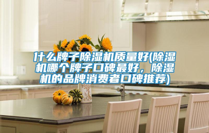 什么牌子除濕機質量好(除濕機哪個牌子口碑最好，除濕機的品牌消費者口碑推薦)