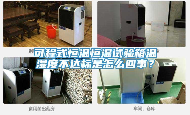 可程式恒溫恒濕試驗箱溫濕度不達標是怎么回事？