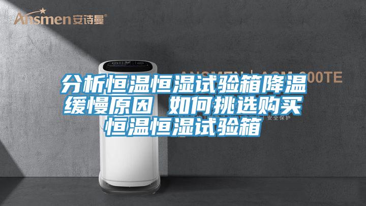 分析恒溫恒濕試驗箱降溫緩慢原因 如何挑選購買恒溫恒濕試驗箱