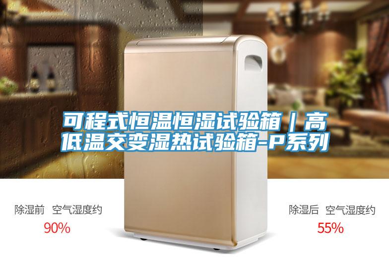 可程式恒溫恒濕試驗箱|高低溫交變濕熱試驗箱-P系列