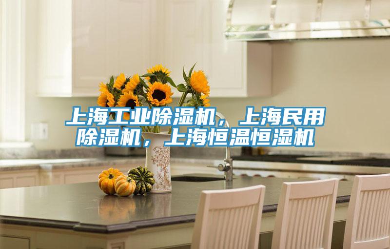 上海工業(yè)除濕機(jī)，上海民用除濕機(jī)，上海恒溫恒濕機(jī)
