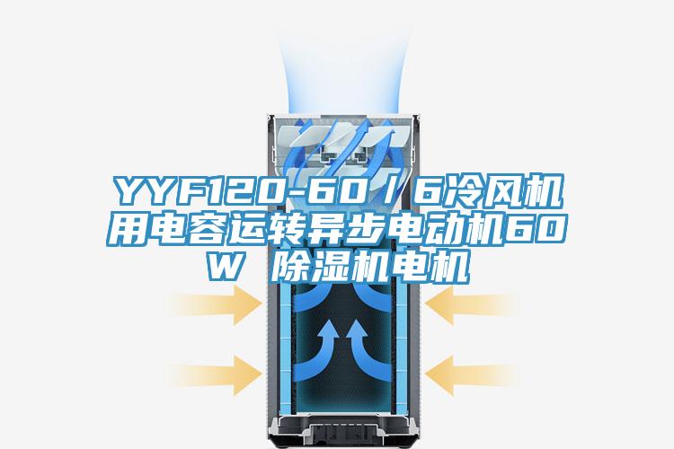 YYF120-60／6冷風(fēng)機用電容運轉(zhuǎn)異步電動機60W 除濕機電機