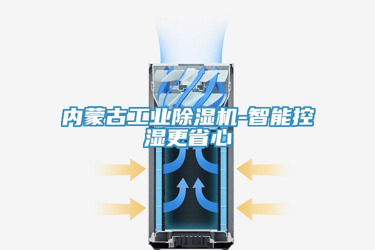 內蒙古工業(yè)除濕機-智能控濕更省心