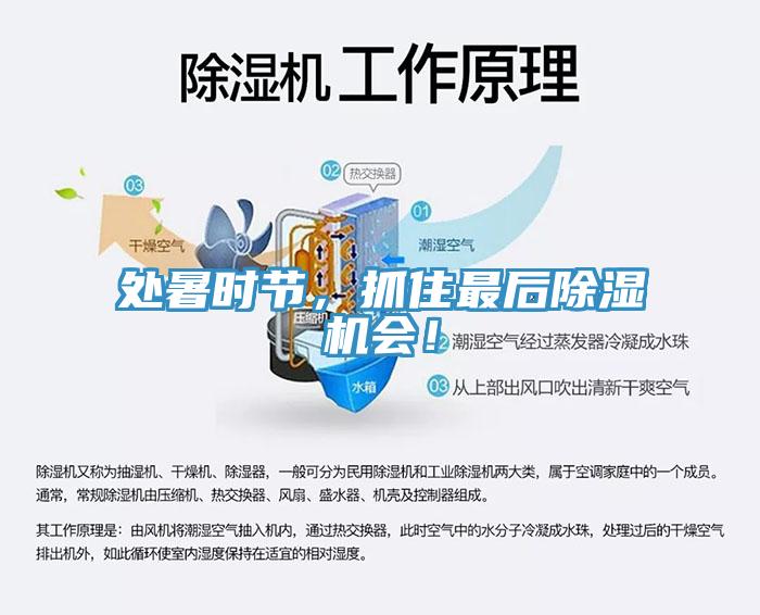 處暑時(shí)節(jié)，抓住最后除濕機(jī)會(huì)！