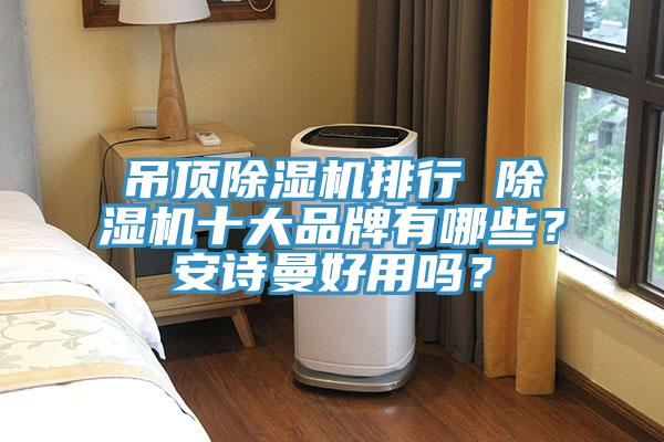 吊頂除濕機排行 除濕機十大品牌有哪些？安詩曼好用嗎？