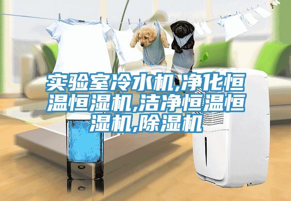 實驗室冷水機,凈化恒溫恒濕機,潔凈恒溫恒濕機,除濕機