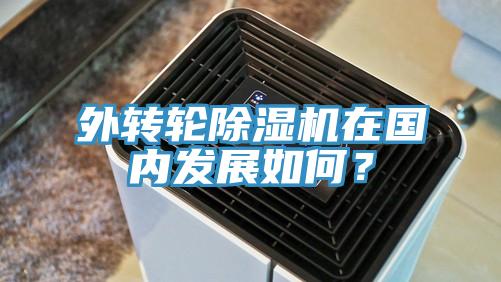 外轉輪除濕機在國內發展如何？