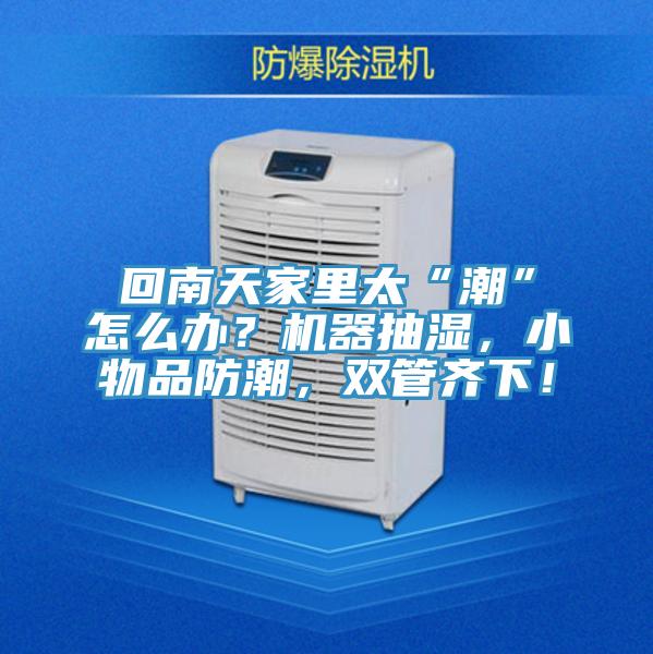 回南天家里太“潮”怎么辦？機器抽濕，小物品防潮，雙管齊下！