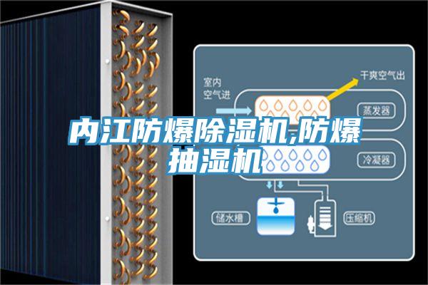 內江防爆除濕機,防爆抽濕機
