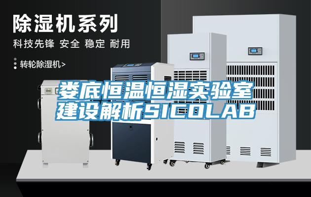婁底恒溫恒濕實驗室建設解析SICOLAB