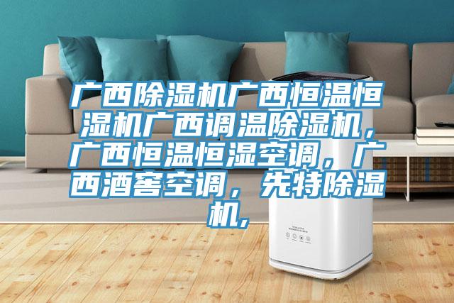 廣西除濕機廣西恒溫恒濕機廣西調溫除濕機,廣西恒溫恒濕空調,廣西酒窖空調,先特除濕機,