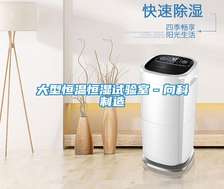 大型恒溫恒濕試驗(yàn)室-向科制造