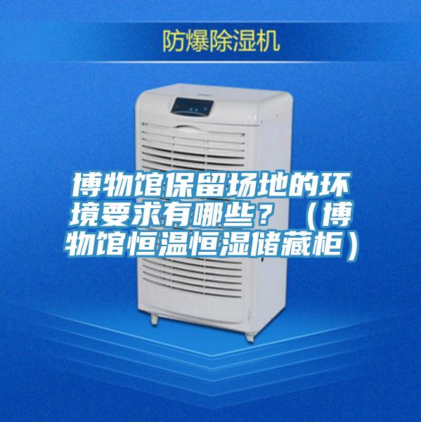 博物館保留場地的環(huán)境要求有哪些？（博物館恒溫恒濕儲藏柜）