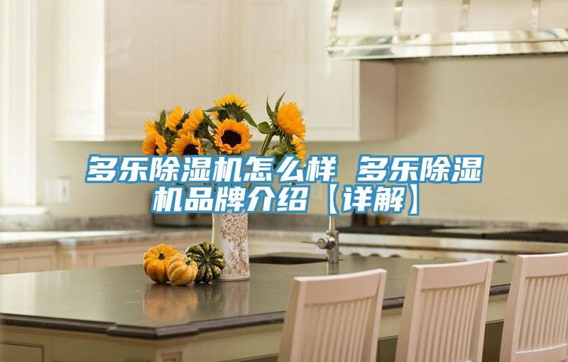 多樂除濕機怎么樣 多樂除濕機品牌介紹【詳解】