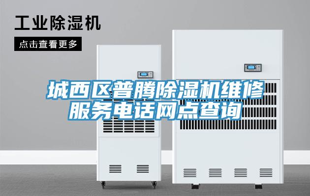 城西區(qū)普騰除濕機(jī)維修服務(wù)電話網(wǎng)點(diǎn)查詢
