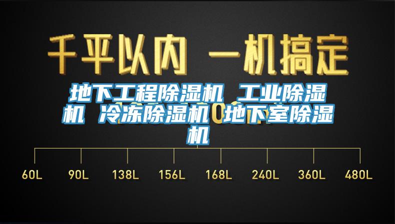 地下工程除濕機(jī) 工業(yè)除濕機(jī) 冷凍除濕機(jī) 地下室除濕機(jī)