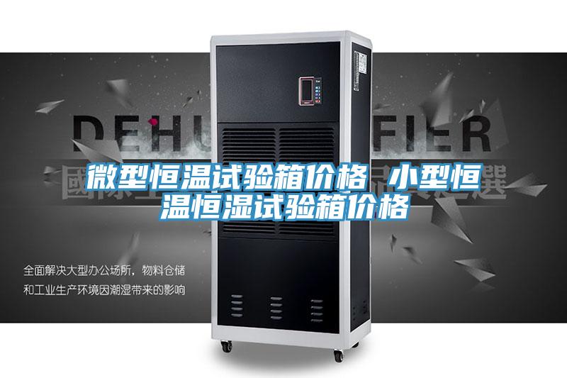 微型恒溫試驗(yàn)箱價(jià)格 小型恒溫恒濕試驗(yàn)箱價(jià)格