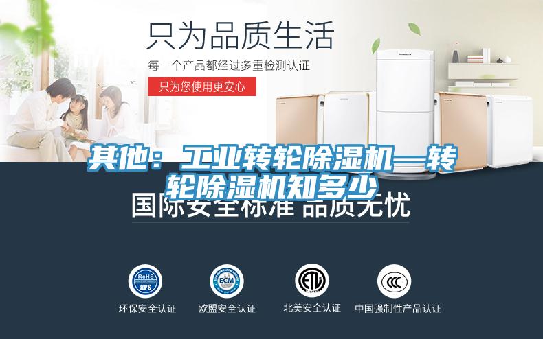 其他：工業(yè)轉輪除濕機—轉輪除濕機知多少