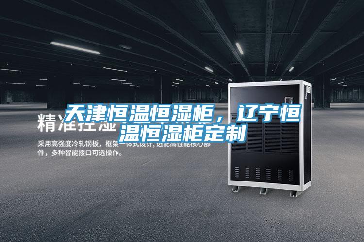 天津恒溫恒濕柜，遼寧恒溫恒濕柜定制